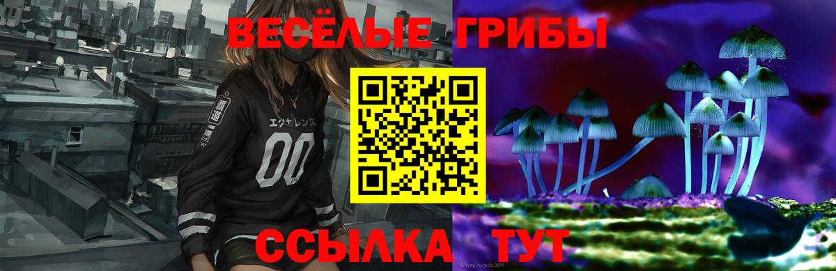 Галлюциногенные грибы Cubensis Печора